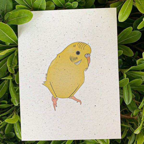 Blank Card - Yellow Parakeet