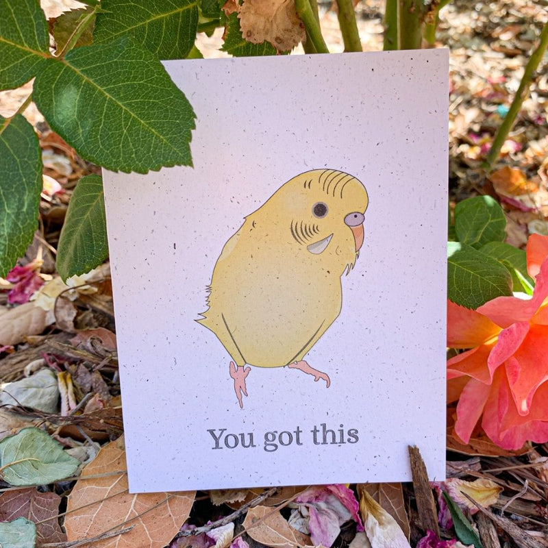 A cream colored speckled greeting card, with You got this written at the bottom in black ink. Centered above the text is a fluffy yellow and white shaded parakeet