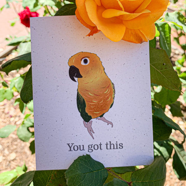 A cream colored speckled greeting card, with You got this written at the bottom in black ink. Centered above the text is a spunky sun conure with shades of yellow, orange, and green.