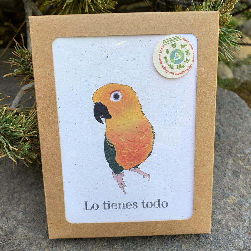 "Lo Tienes Todo" Spanish Encouragement Card Set