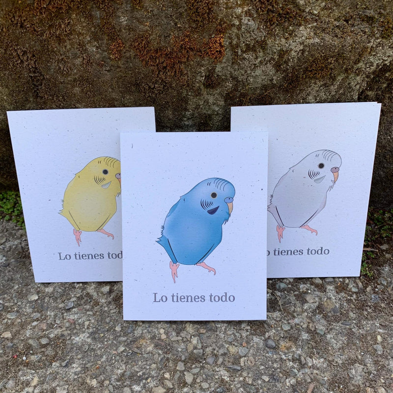 Lo Tienes Todo Card Set of 6 | Assorted Spanish Encouragement Cards | Birds