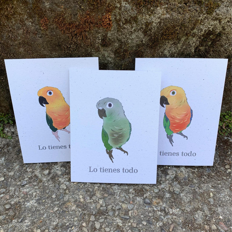 Lo Tienes Todo Card Set of 6 | Assorted Spanish Encouragement Cards | Birds