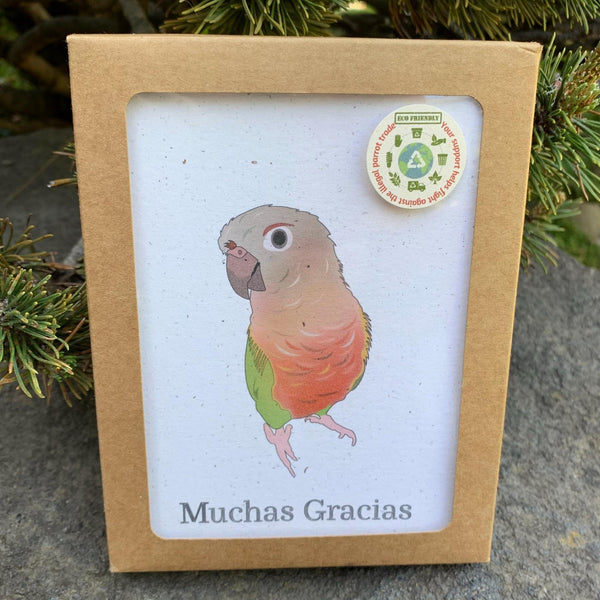 Muchas Gracias Card Set of 6 | Assorted Spanish Thank You Cards | Birds