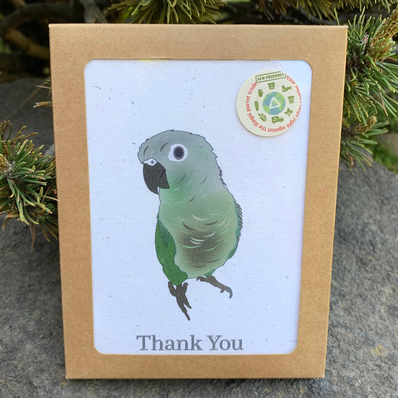 Thank You Card Set of 6 | Assorted Blank Thank You Cards | Birds