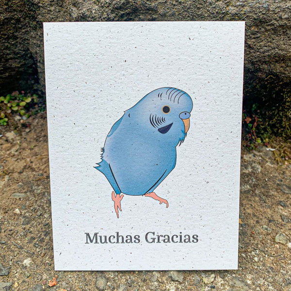 Muchas Gracias Blue Parakeet Card