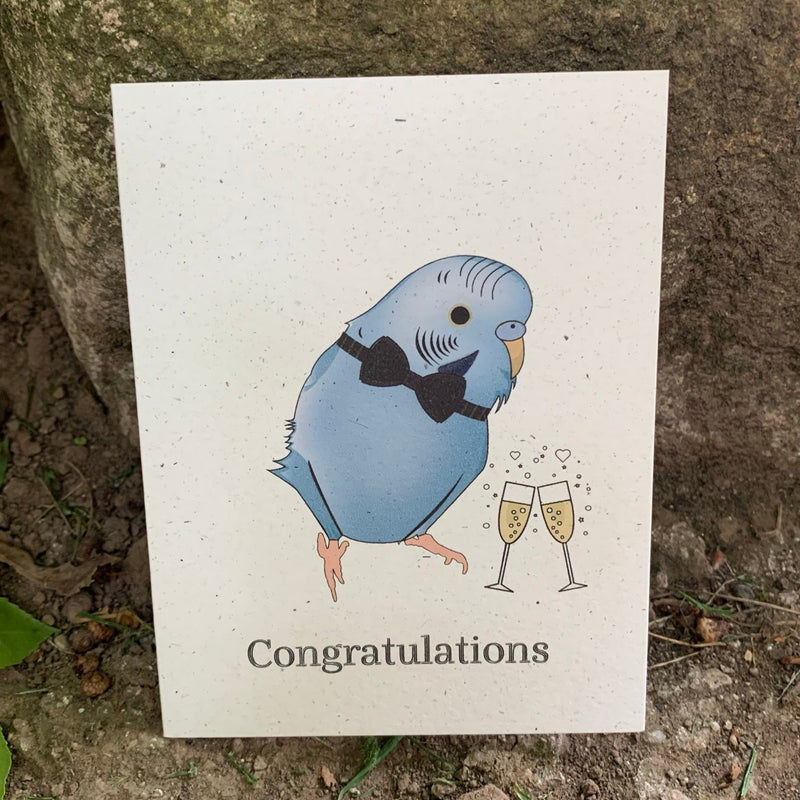 Congratulations - Blue Parakeet