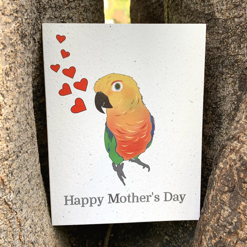 Happy Mother’s Day - Jenday Conure