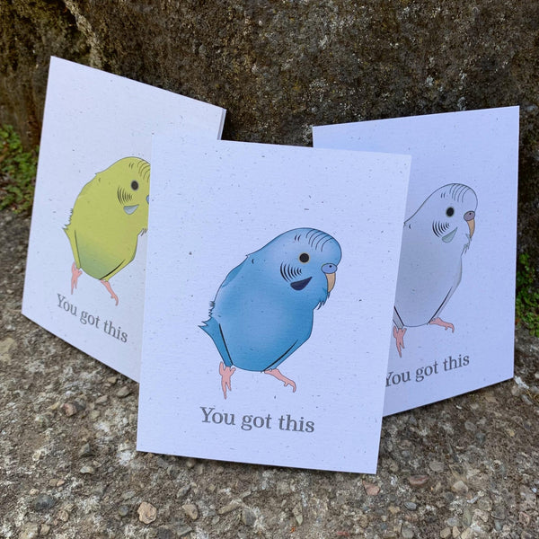 "You Got This" Encouragement Card Set