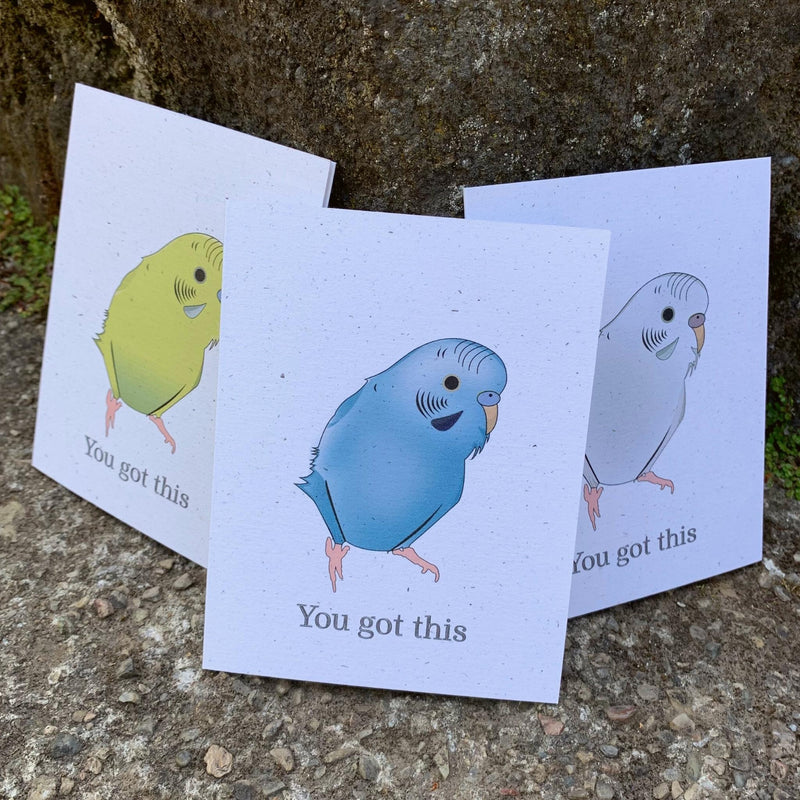 You Got This Card Set of 6 | Assorted Encouragement Cards | Birds