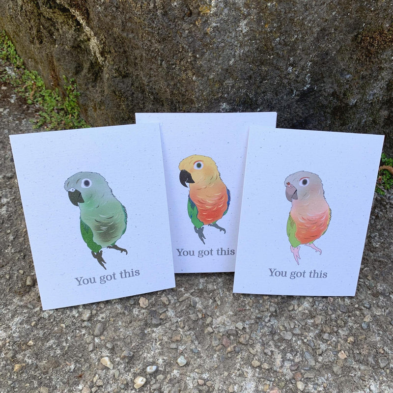 You Got This Card Set of 6 | Assorted Encouragement Cards | Birds