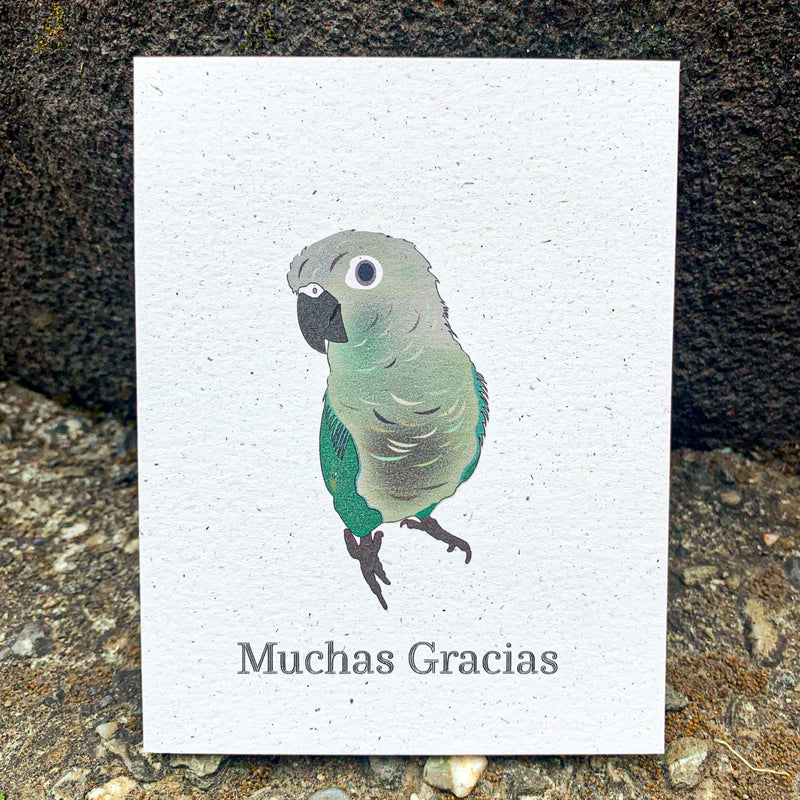 "Muchas Gracias" Blue Parakeet Card