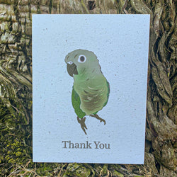 Green Cheek Conure Thank You Card
