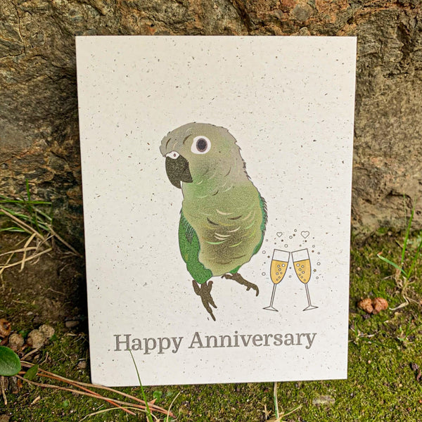Happy Anniversary - Green Cheek Conure