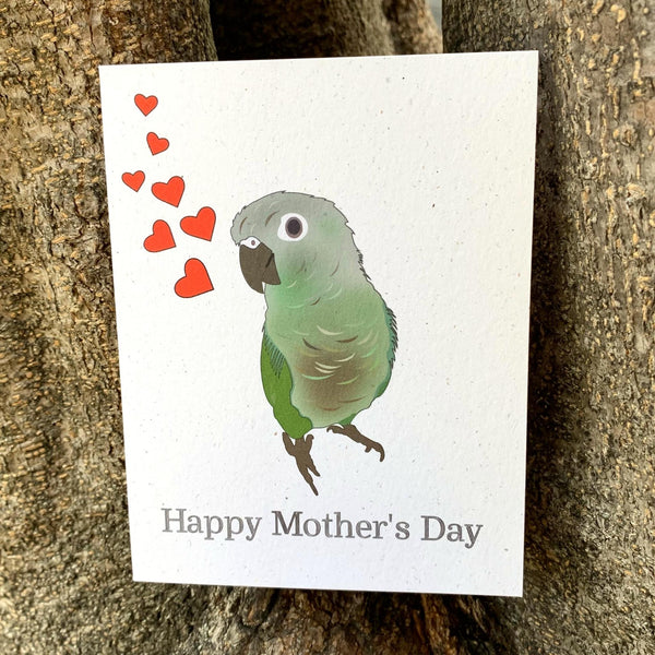 Happy Mother’s Day - Green Cheek Conure