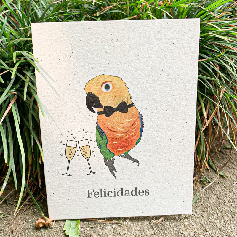 Felicidades - Jenday Conure Bird Wedding Card