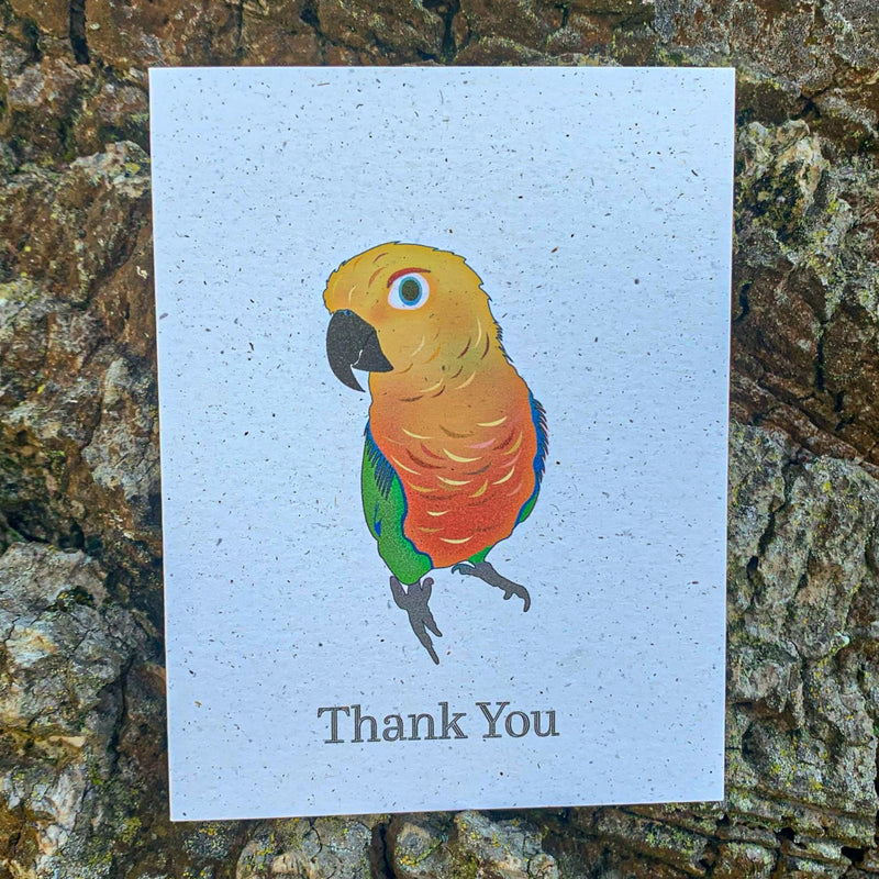 Thank You - Jenday Conure
