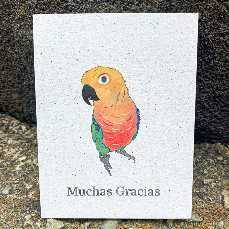 Muchas Gracias - Jenday Conure Conure Thank You Card