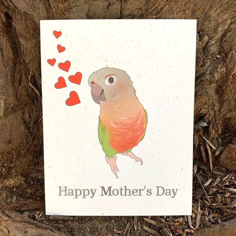 Happy Mother’s Day - Pineapple Conure