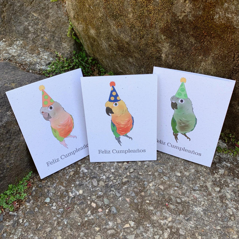 Feliz Cumpleaños Card Set of 6 | Assorted Spanish Birthday Cards | Birds