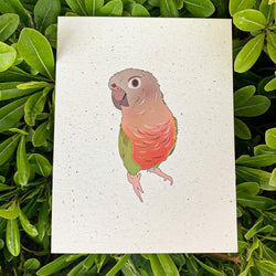 Eco Friendly Blank Greeting Card | Customizable Gift | Pineapple Conure