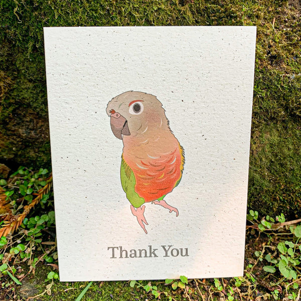 Thank You - Pineapple Conure