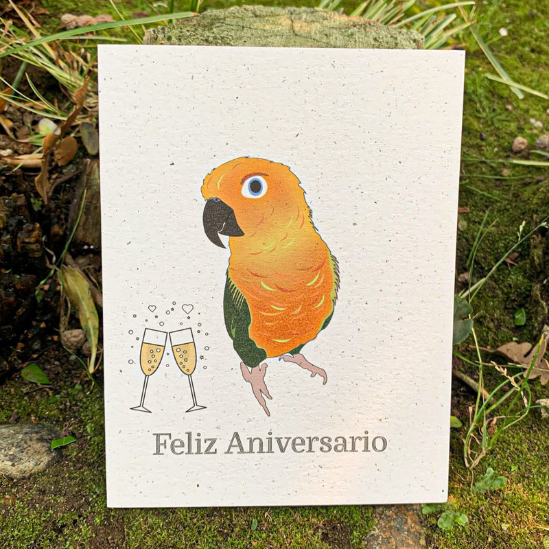 Feliz Aniversario - Sun Conure Wedding Anniversary Card