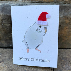 White Parakeet Holiday Christmas Card