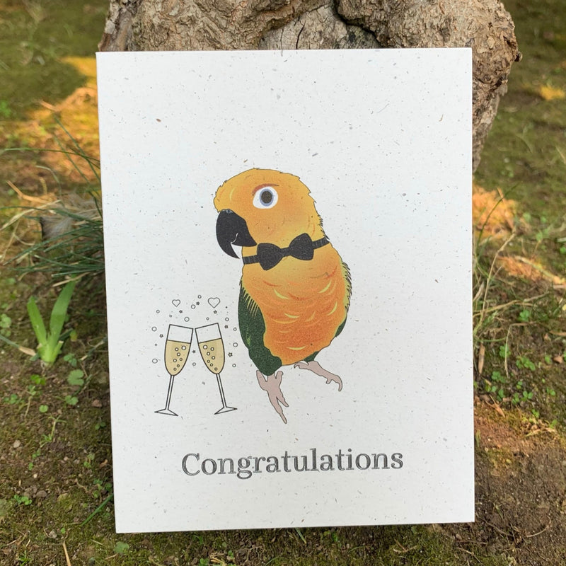Eco-Friendly Sun Conure Wedding Congratulations Card