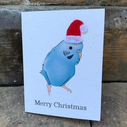 Blue Parakeet Holiday Christmas Card