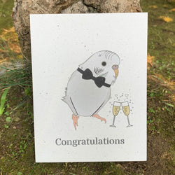 Congratulations White Parakeet Card