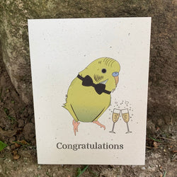 Congratulations Yellow Green Parakeet Card