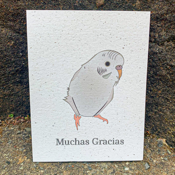 Muchas Gracias - White Parakeet Thank You Card
