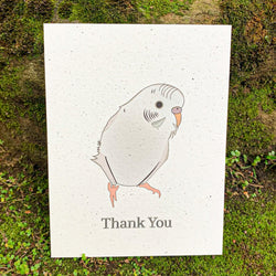 Adorable Eco-Friendly White Parakeet Card