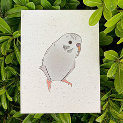 Blank Card - White Parakeet