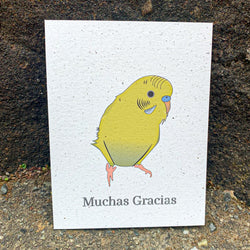 Muchas Gracias - Yellow Green Parakeet