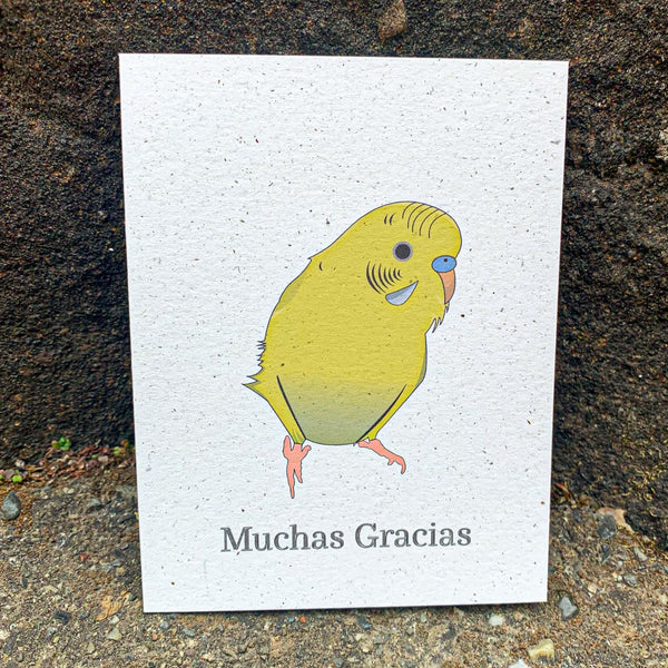 Muchas Gracias - Yellow Green Parakeet Thank-you Card