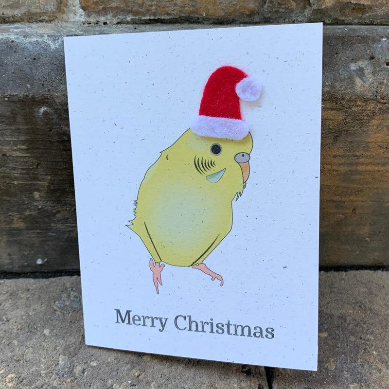 Holiday Christmas Card | Yellow Parakeet