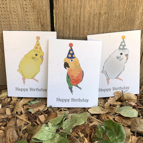 Birthday Card Set of 6 | Assorted Blank Birthday Cards | Birds