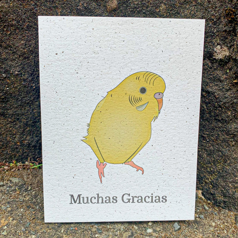 Muchas Gracias - Yellow Parakeet Thank You Card