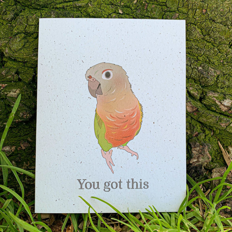 A cream colored speckled greeting card, with You got this written at the bottom in black ink. Centered above the text is an inquisitive pineapple green cheek conure with shades of orange, tan, grey, and light green.