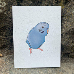 Blank Card - Blue Parakeet