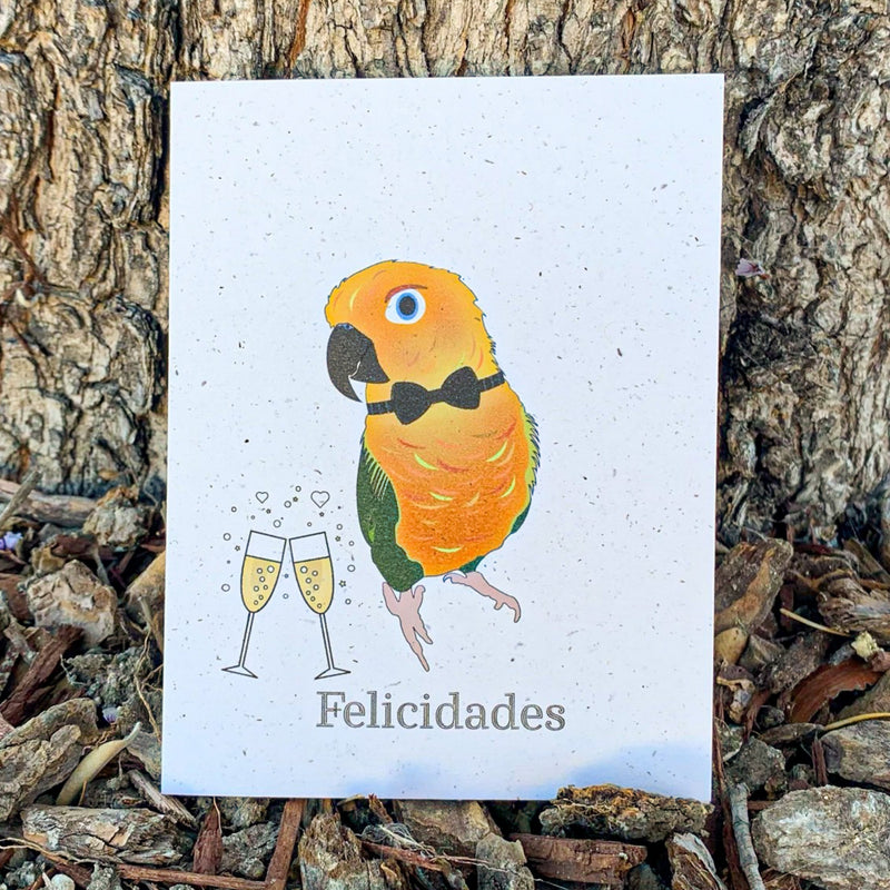 Felicidades - Sun Conure Bird Wedding Card