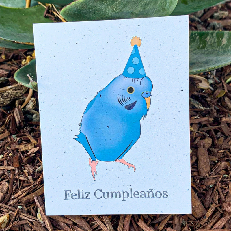 Feliz Cumpleaños - Blue Parakeet Birthday Card