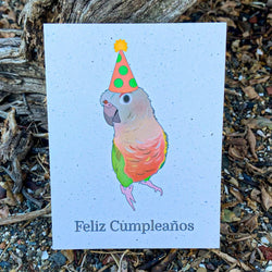 Feliz Cumpleaños Pineapple Conure Birthday Card