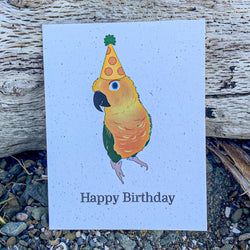 Happy Birthday Sun Conure Card