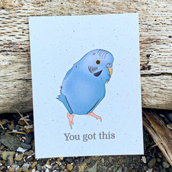 You got this - Blue Parakeet