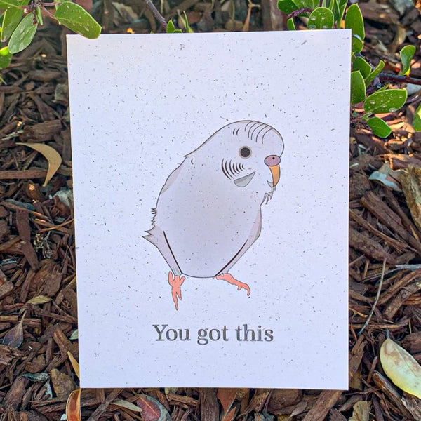 White Parakeet Eco-Friendly Encouragement Card