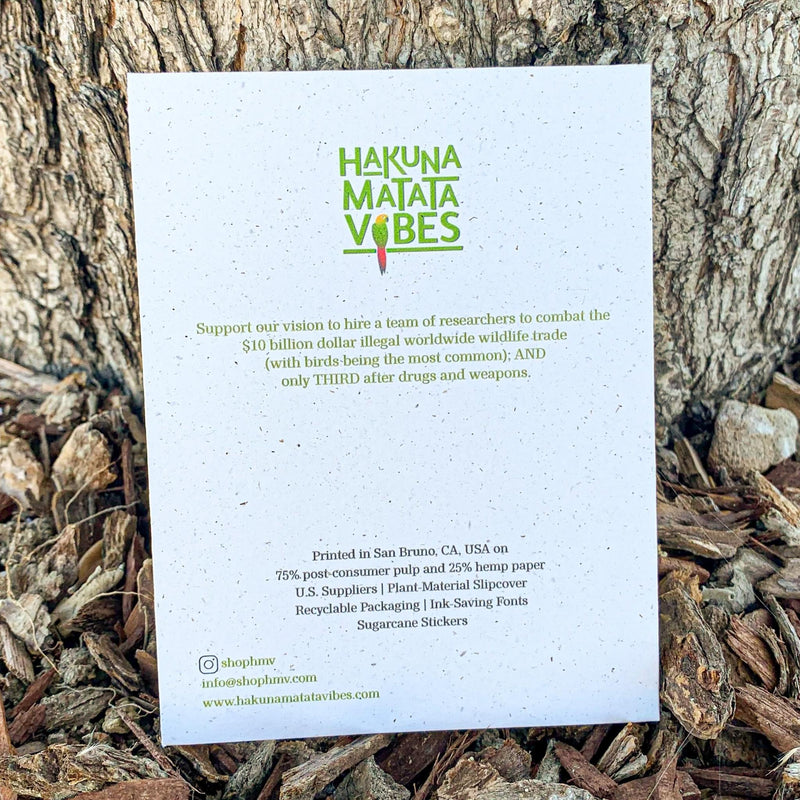 Holiday Christmas Card | Green Cheek Conure