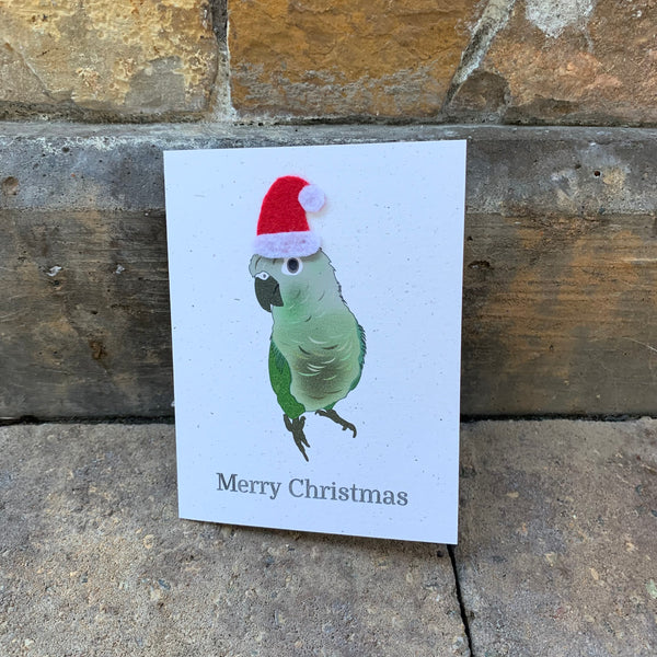 Green Cheek Conure Holiday Christmas Card