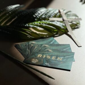 Eco Desk Collection